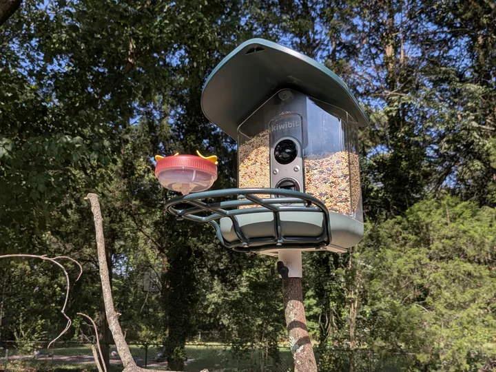 Kiwibit Bird Feeder 2 Pro review: Birds can’t get enough